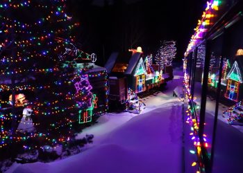 There’s a Hidden Forest In Colorado That Lights Up For The Holidays And It’s Absolutely Amazing