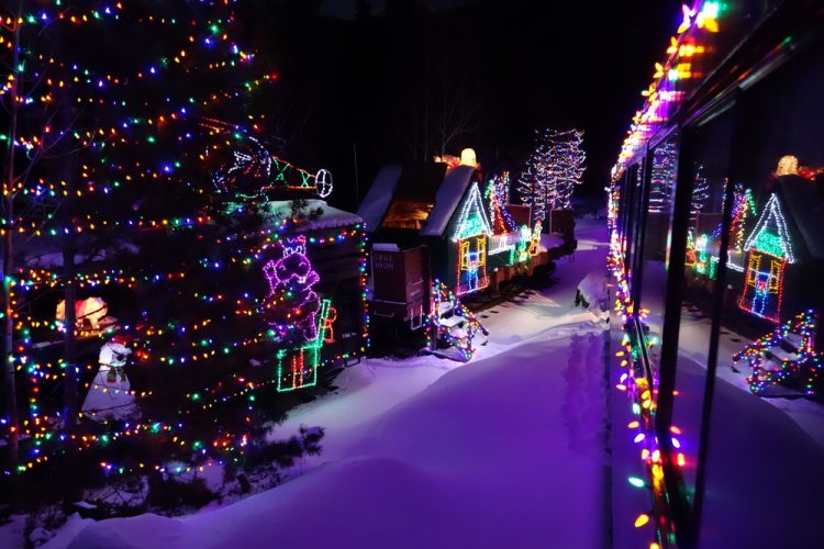 There’s a Hidden Forest In Colorado That Lights Up For The Holidays And It’s Absolutely Amazing