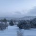 Colorado Gets Hit With June Snowstorm