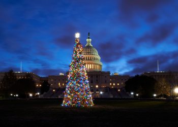 Colorado to provide this year’s Capitol Christmas tree