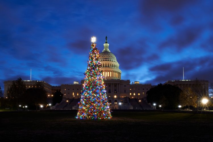 Colorado to provide this year’s Capitol Christmas tree