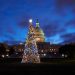 Colorado to provide this year’s Capitol Christmas tree