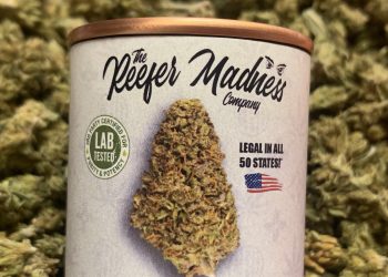 Denver Musician Don P Launches CBD Brand