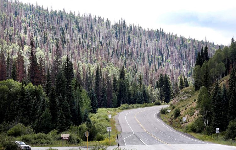 For first time in 8 years, 100% of Colorado is under drought or abnormally dry conditions