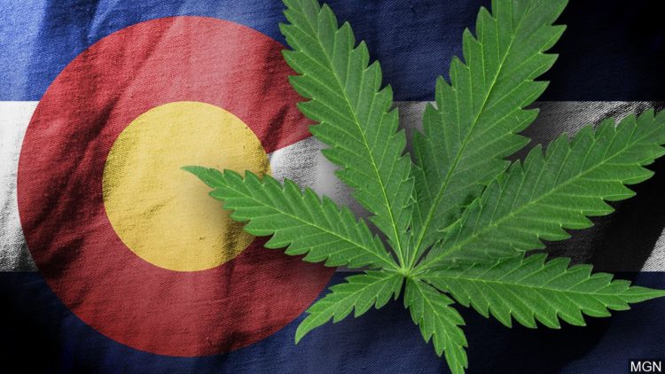 Gov. Polis signs order to grant pardons for marijuana convictions