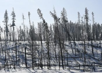 East Troublesome Fire in Colorado now 100% contained