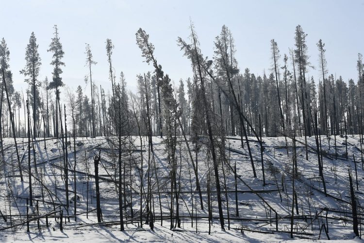 East Troublesome Fire in Colorado now 100% contained