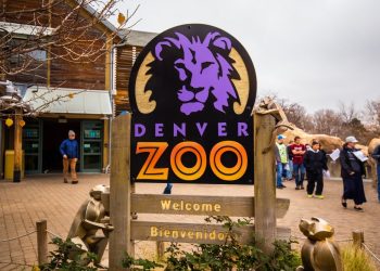 Denver Zoo Struggles in Pandemic to Feed Hungry Animals