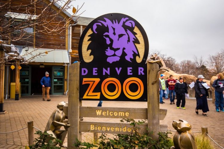 Denver Zoo Struggles in Pandemic to Feed Hungry Animals
