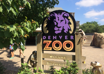 Denver Zoo Able To Keep Animals Healthy And Fed During Pandemic