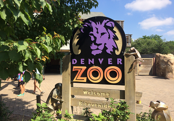 Denver Zoo Able To Keep Animals Healthy And Fed During Pandemic – I'm