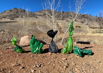 The Amount Of Poop Bags Being Left Behind On Colorado Trails Is Absolutely Ridiculous