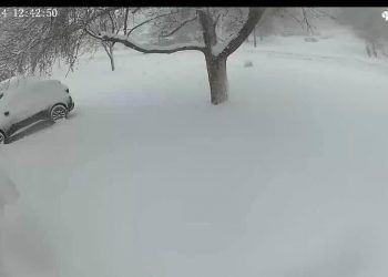REVIEW: We tested the Toucan home security camera, it held up through a blizzard