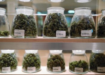 A new proposal is being considered for Marijuana delivery in Denver