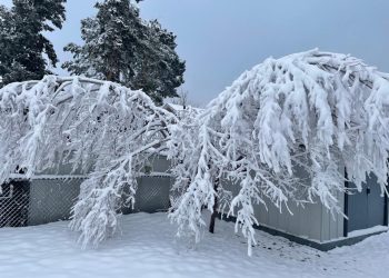 Photo credit: Stephen Sullivan