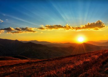 Summer Sun Safety Tips