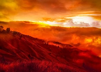 Wildfire in Oregon is bigger than New York City due to strong winds