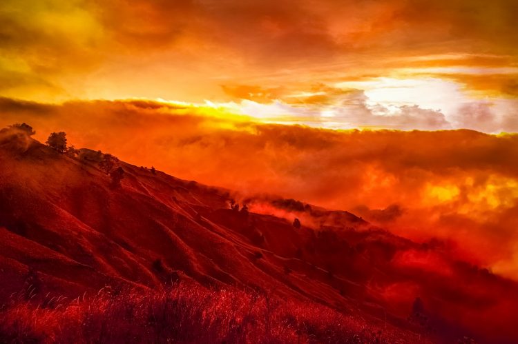 Wildfire in Oregon is bigger than New York City due to strong winds