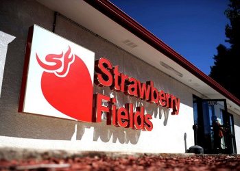 The first marijuana delivery service in Denver launches Thursday