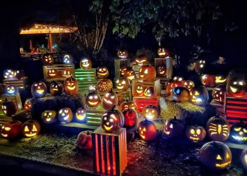 Glow At The Gardens In Denver Is Back This Fall And This Year Is Going To Be Epic