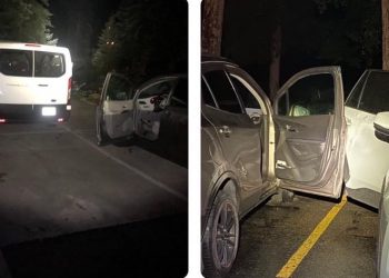 8 cars were broken into overnight by a bear in Estes Park, officials remind owners to lock their doors