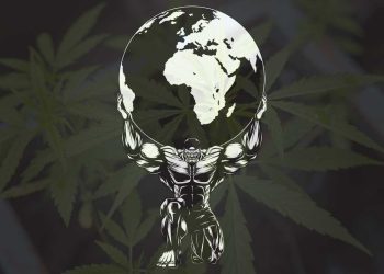 cannabis and exercise
