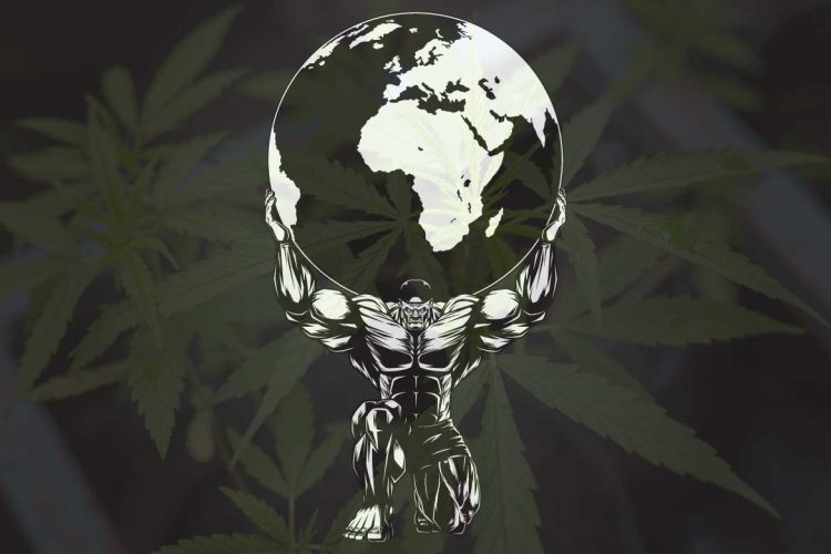 cannabis and exercise