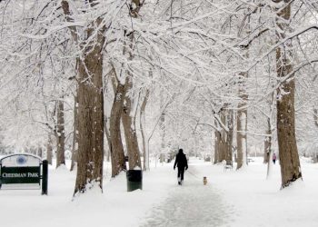 snow in denver