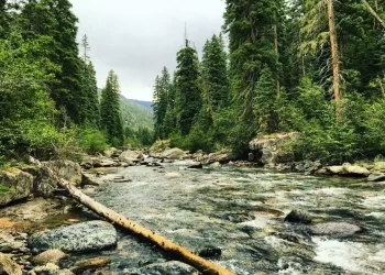 water shortage problem