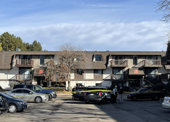 Police shoot and kill suspected Car Thief