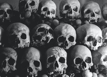 Someone stole a Box of Human Heads