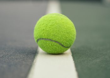 Pickleball Isn’t a Crime!