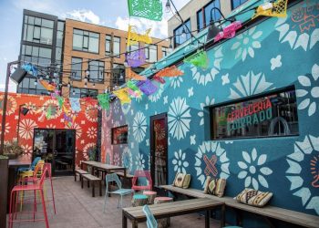 3 Denver Bars to Experience