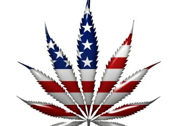 A Bill to Decriminalize Marijuana Passes the House