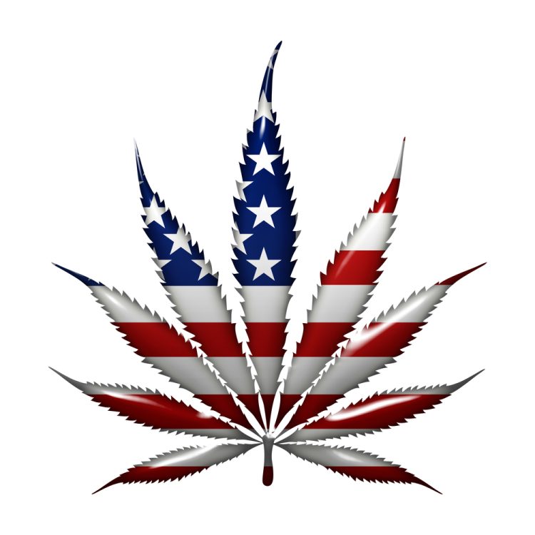 A Bill to Decriminalize Marijuana Passes the House