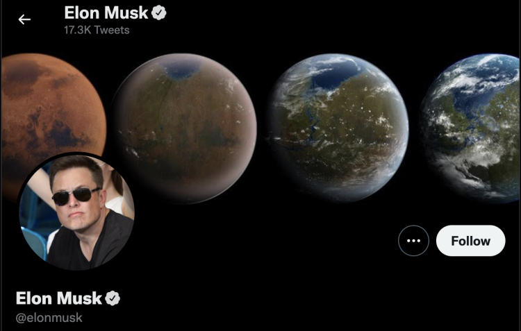 Tesla CEO Elon Musk Has Bought 9.2% Stake In Twitter