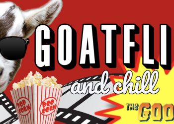 Goatflix and Chill?  Go Watch a Movie with a Goat.