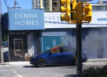Tesla Owner Narrowly Escapes Car Fire