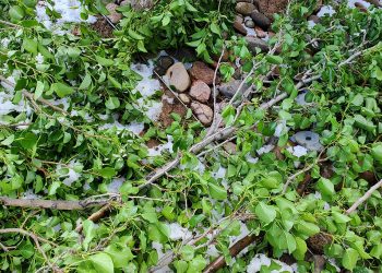 Here’s what to do with Broken Branches