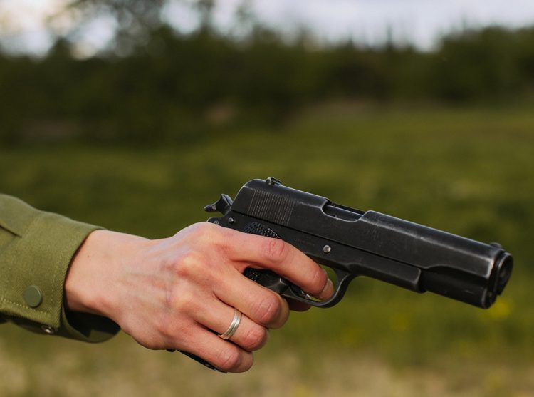 You Can’t Take Your Gun to the Park Anymore