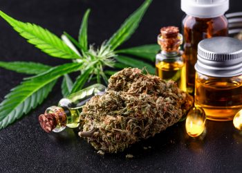 Community College of Denver Offers Cannabis Certificate Programs