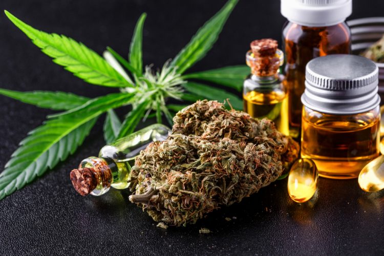 Community College of Denver Offers Cannabis Certificate Programs