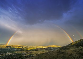 Record Rainfall in Denver Equals Mosquitoes