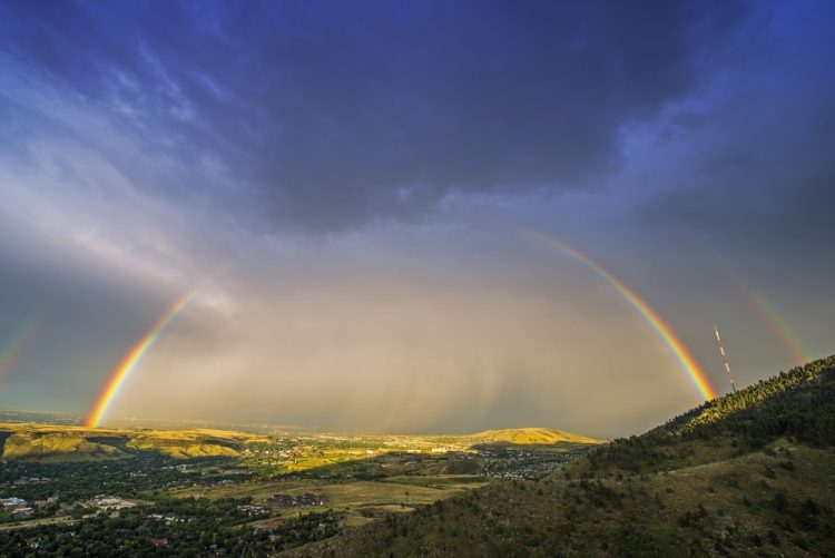 Record Rainfall in Denver Equals Mosquitoes