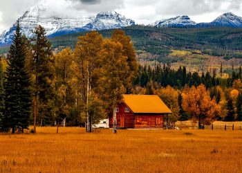 Happy Birthday Colorado!