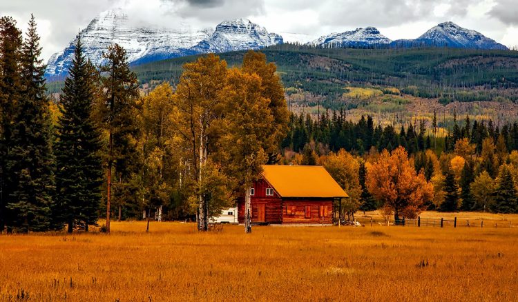 Happy Birthday Colorado!