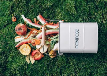 Denver Encourages Residents To Compost