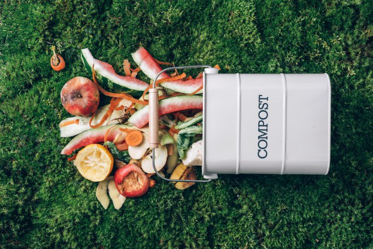 Denver Encourages Residents To Compost
