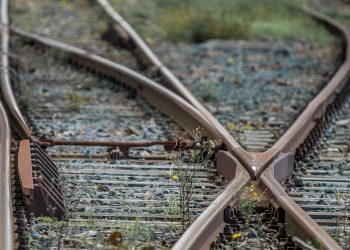 Woman in back of a Police Car was hit by a Train.