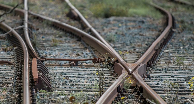 Woman in back of a Police Car was hit by a Train.